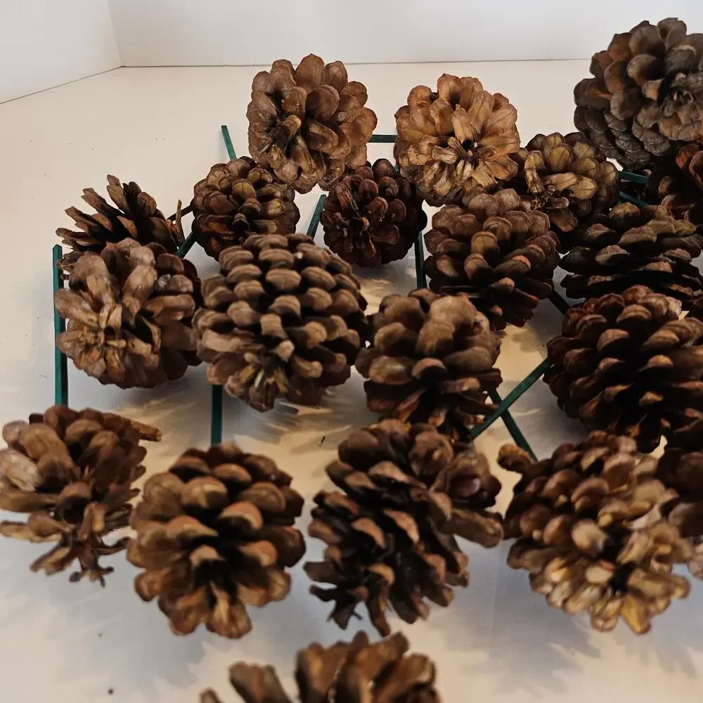 30 Natural Pine Cone Floral Picks 7in Green Wood Stems Wreath Craft Rustic Decor